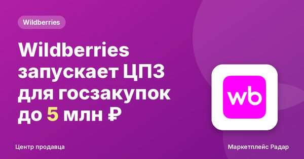 Wildberries запускает ЦПЗ для госзакупок до 5 млн ₽