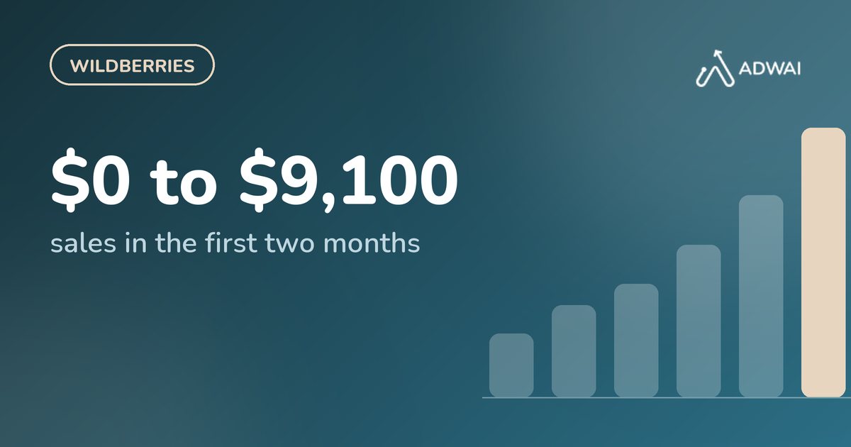Wildberries: from zero to $9,100 in two months