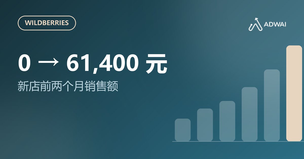 Wildberries:两个月从零到 61,400 元